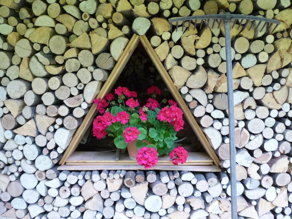 Hotel Park Oasi Arta Terme Exterior photo